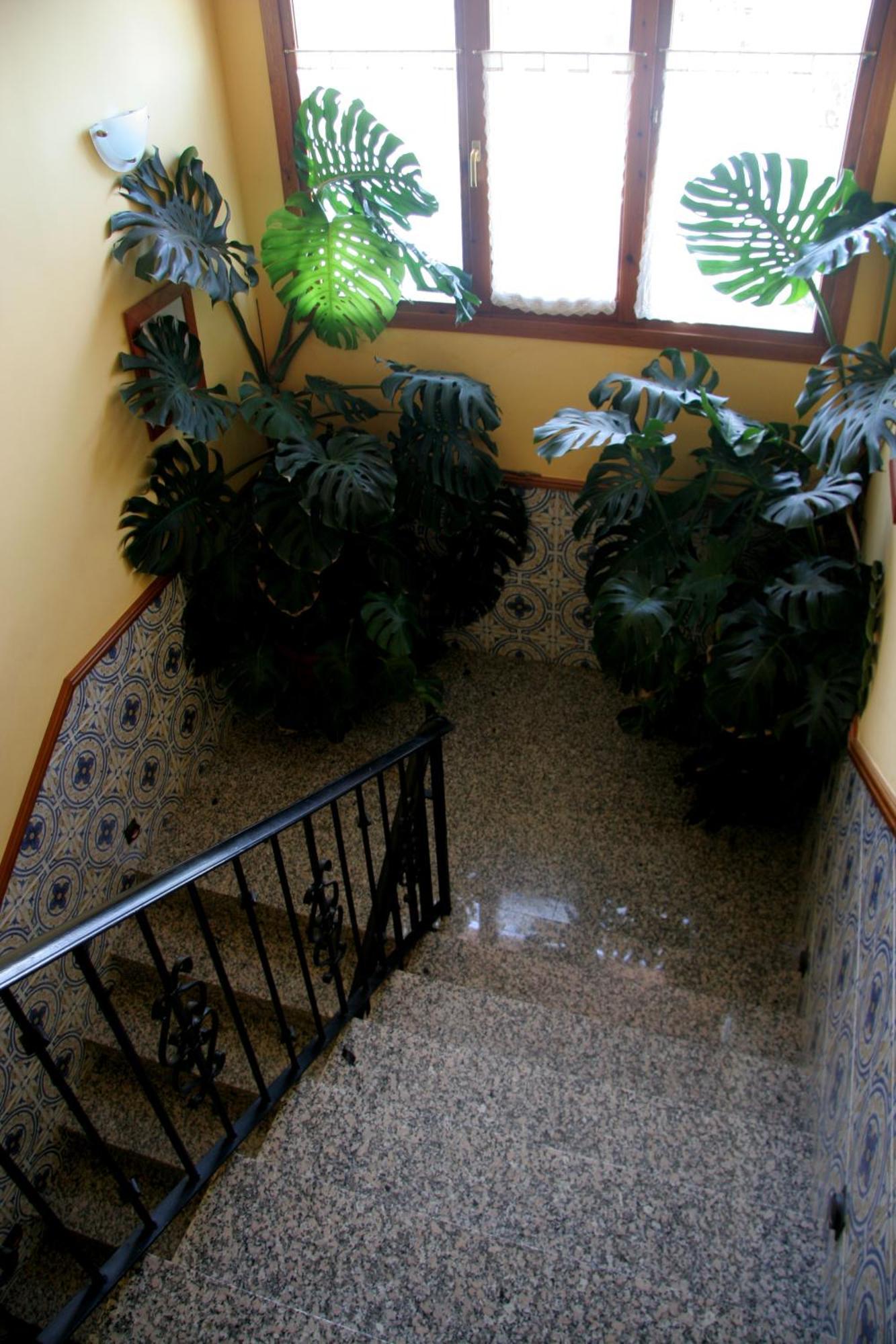 Hostal Casa Barranco Castejón del Puente Екстериор снимка