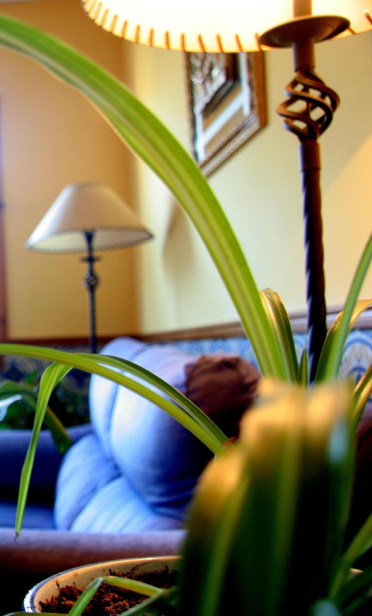 Hostal Casa Barranco Castejón del Puente Екстериор снимка